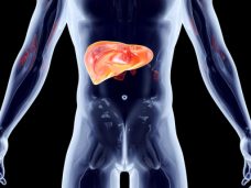 Liver detoxification test