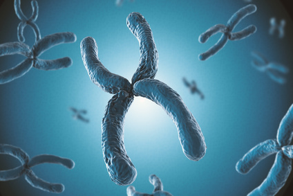 genetics and detoxification problems