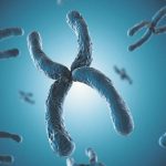 alternative cancer treatment