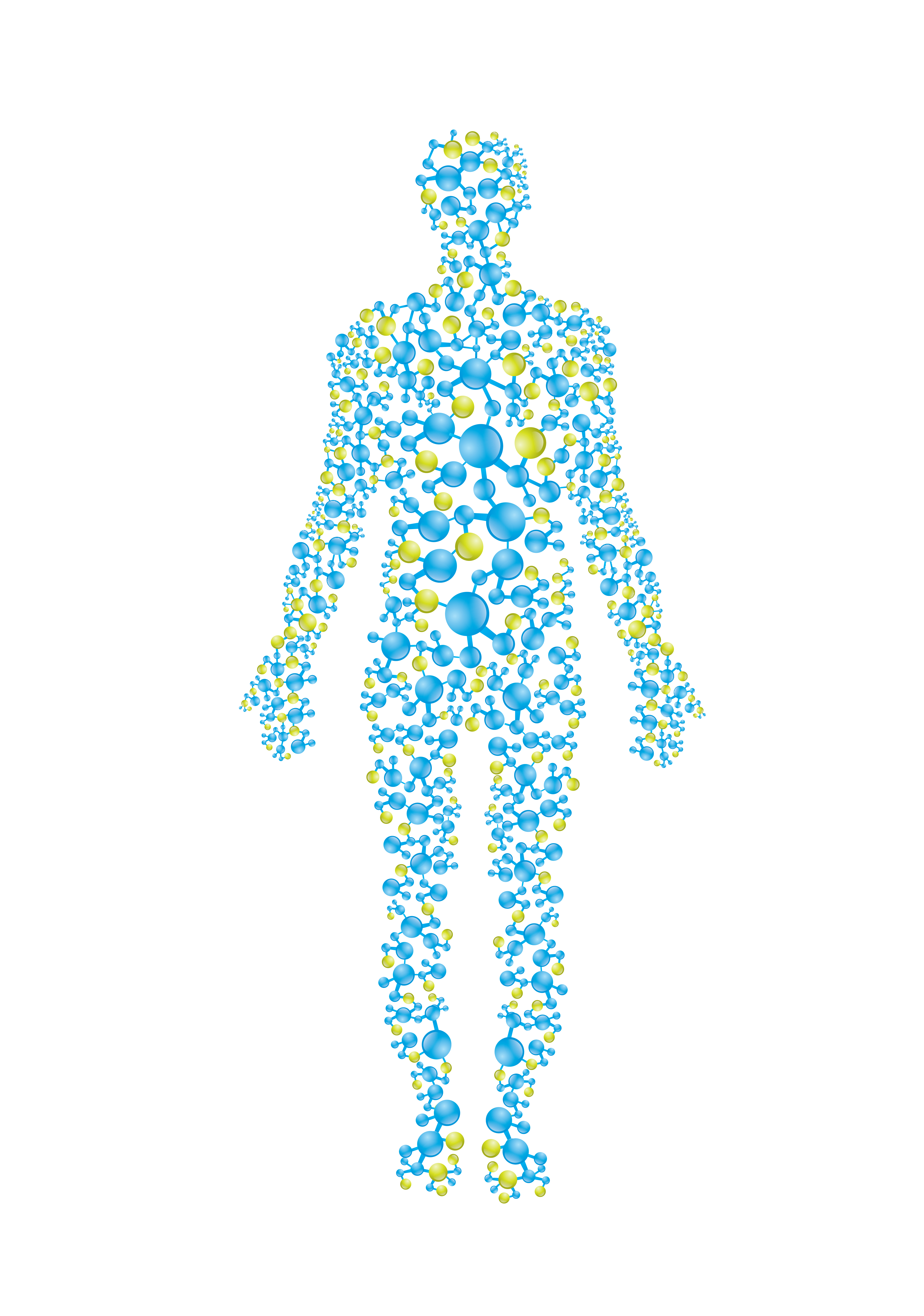 Endocrine test