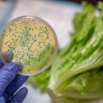 Escherichia coli Test