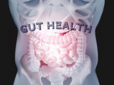 Microbiome testing - Basic