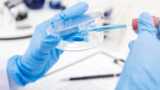 Essential Mineral & Heavy Metal Analysis Assess recent/current levels test