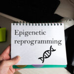 myDNA Methylation Report - This DNA test covers 14 genes relating to methylation
