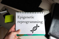 myDNA Methylation Report - This DNA test covers 14 genes relating to methylation