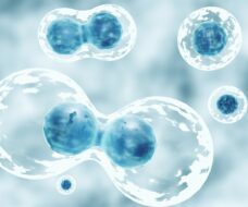 Circulating Tumor Cells (CTCs) Advanced test