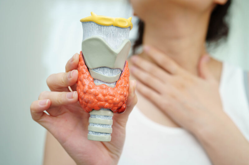 Thyroid Antibodies Test