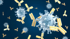 IMMUNE FRAME immunity test